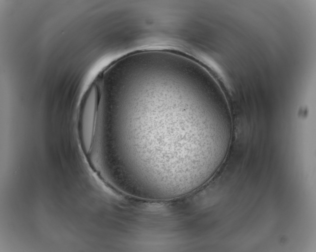 X0000090601472200707241032