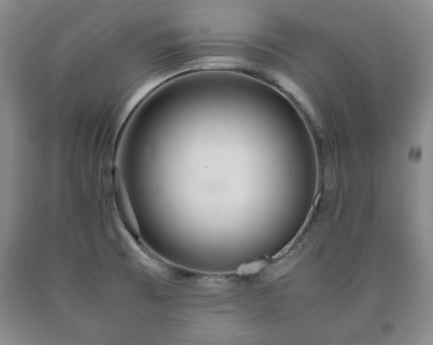 X0000090601473200707241032