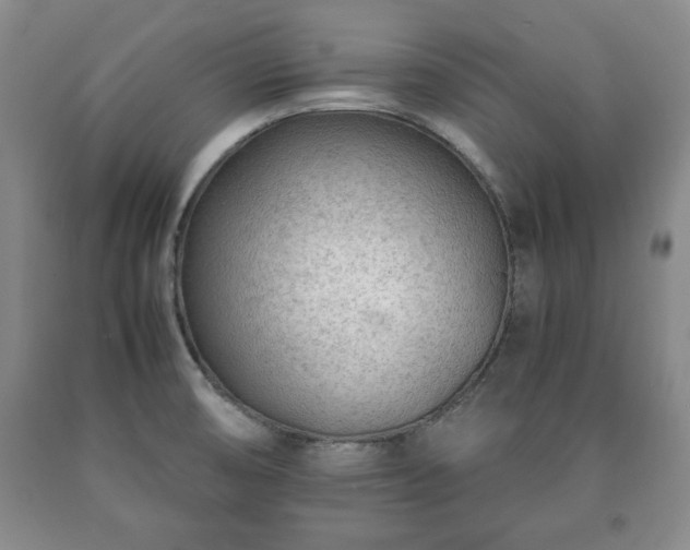 X0000090601474200707241032