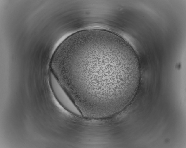 X0000090601476200707241032