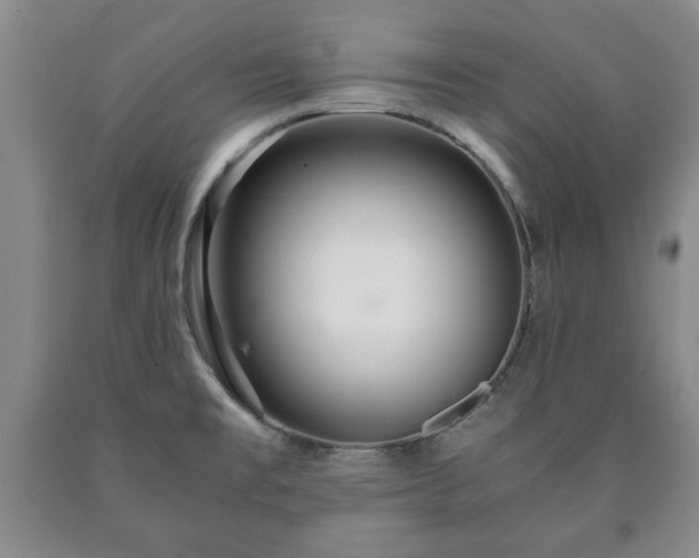 X0000090601477200707241032