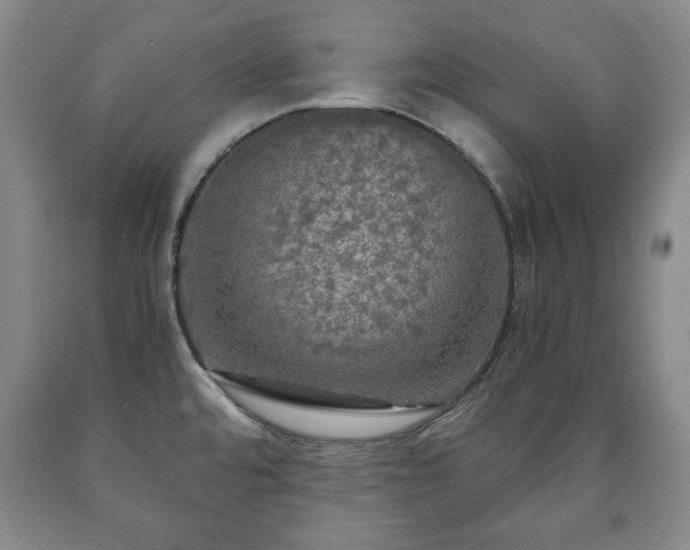 X0000090601480200707241032