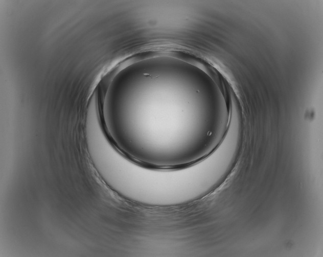 X0000090601481200707241031