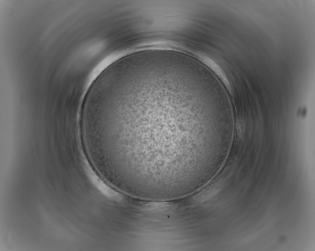 X0000090601482200707241031