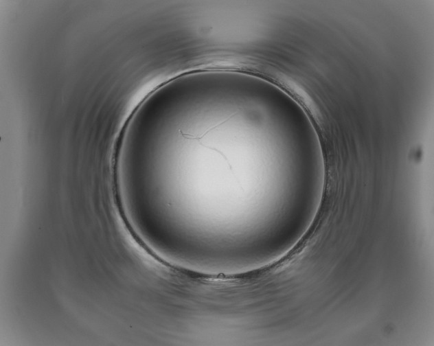 X0000090601483200707241031