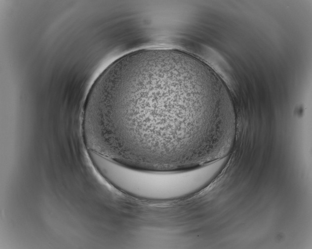 X0000090601484200707241031