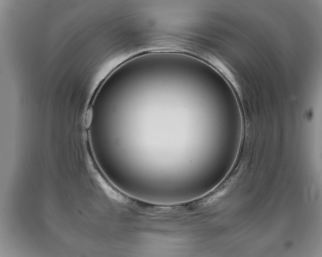 X0000090601485200707241031