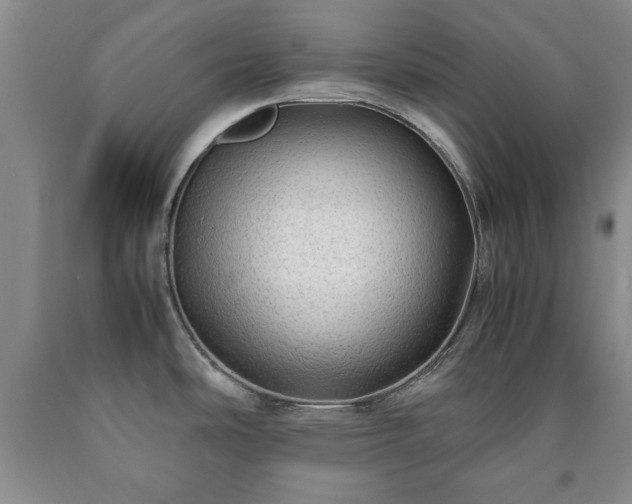 X0000090601486200707241031