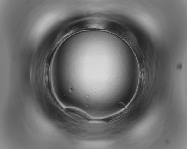X0000090601487200707241031