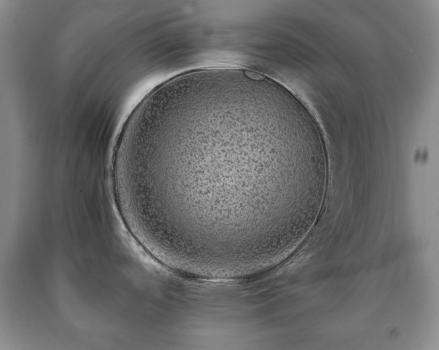 X0000090601488200707241031