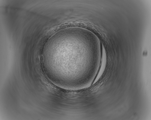 X0000090601489200707241031