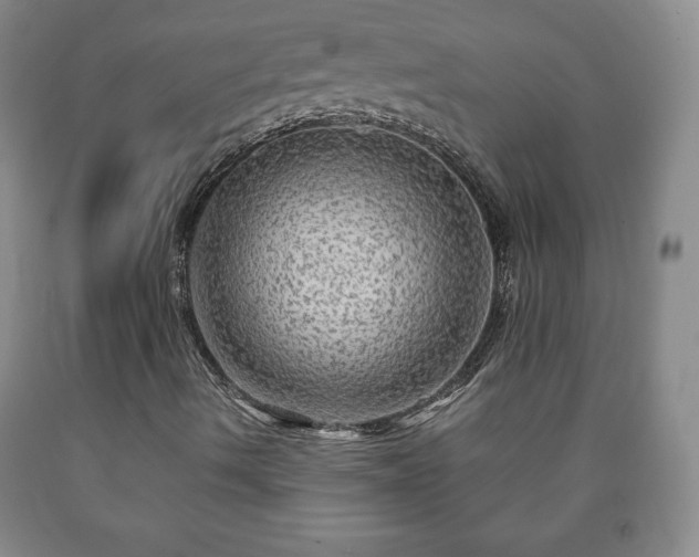 X0000090601490200707241031