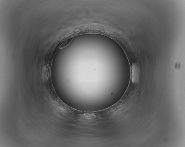 X0000090601491200707241031