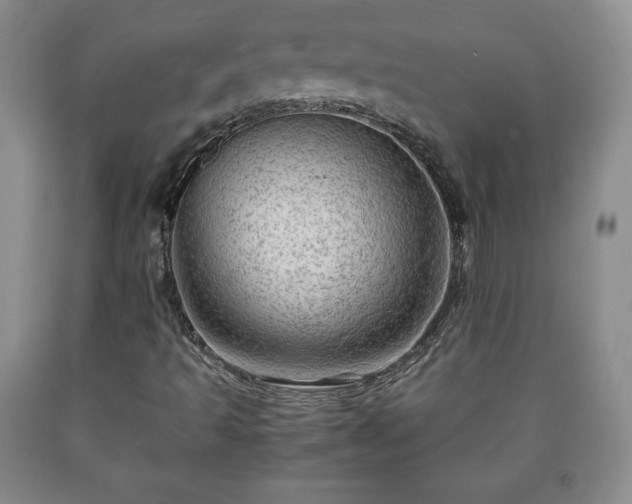 X0000090601493200707241031