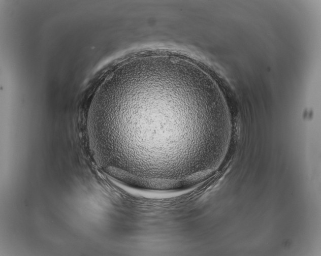 X0000090601494200707241031