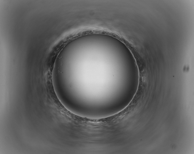 X0000090601495200707241031