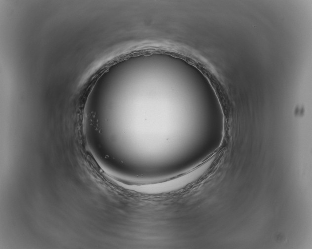 X0000090601496200707241031