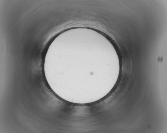 X0000090601498200707241031