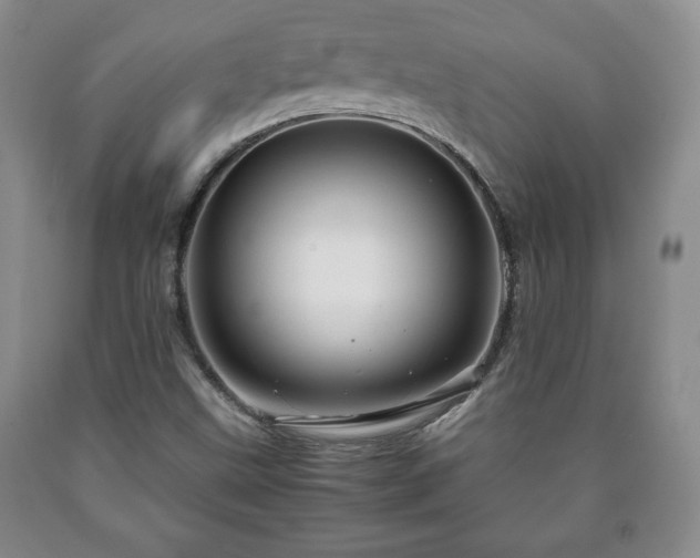 X0000090601499200707241031