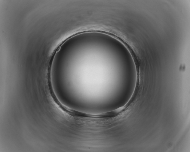 X0000090601500200707241031
