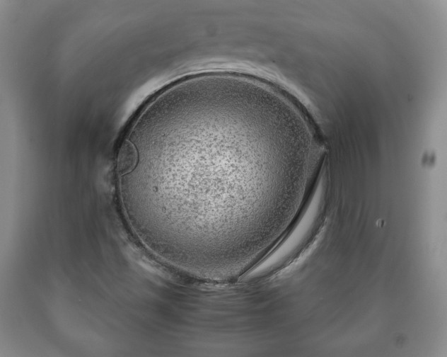X0000090601501200707241031