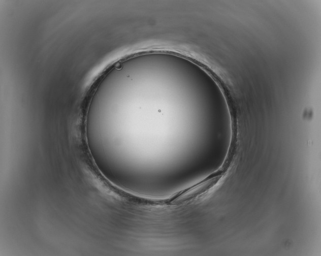 X0000090601502200707241031