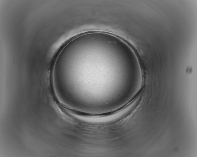 X0000090601503200707241031