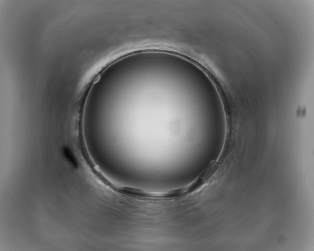 X0000090601504200707241031