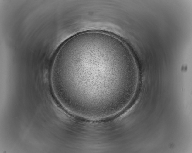 X0000090601505200707241031