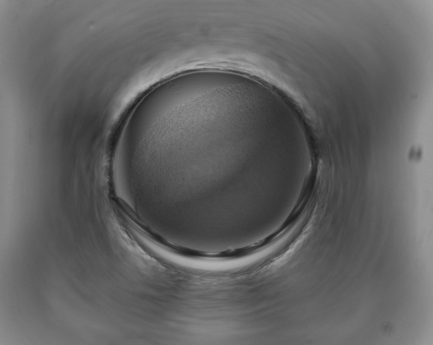 X0000090601506200707241031