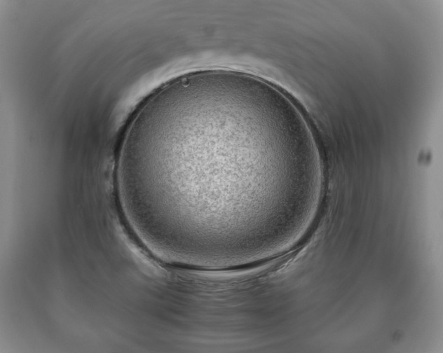 X0000090601507200707241031