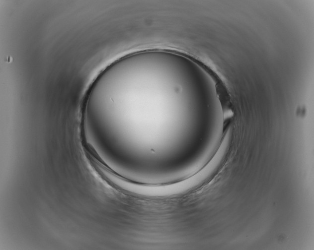 X0000090601508200707241031