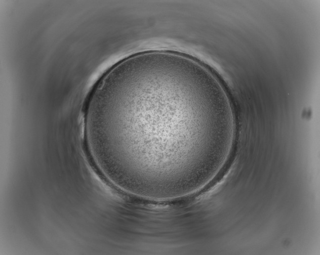 X0000090601509200707241031