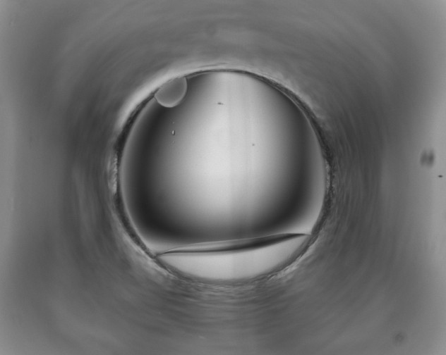 X0000090601510200707241031