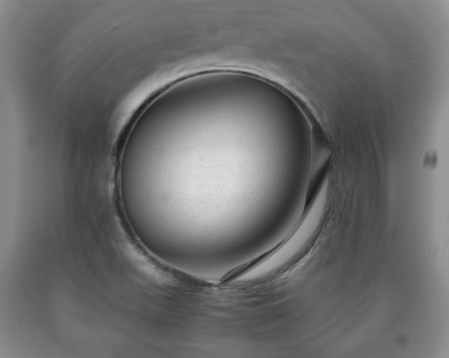 X0000090601511200707241031