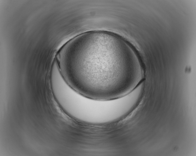 X0000090601513200707241031