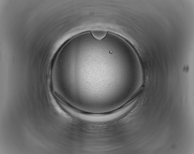 X0000090601515200707241031
