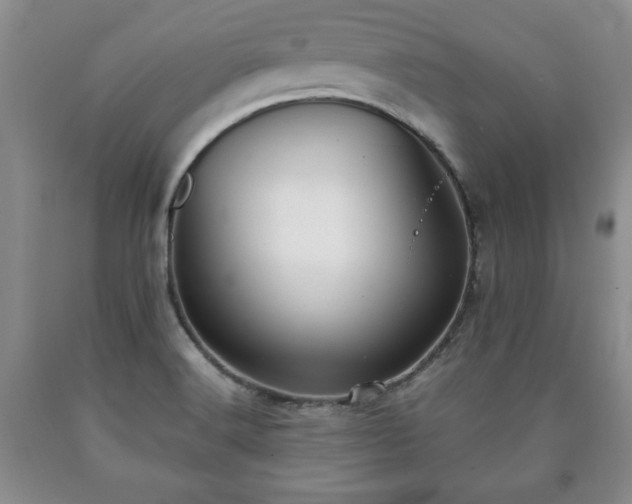 X0000090601516200707241031