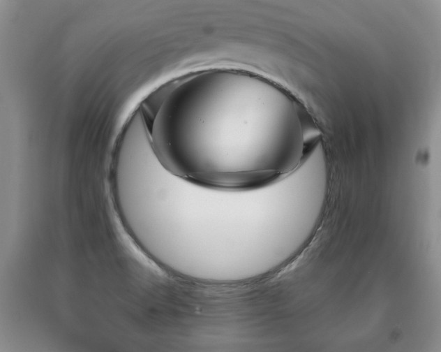 X0000090601518200707241031
