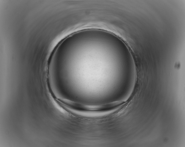 X0000090601519200707241031
