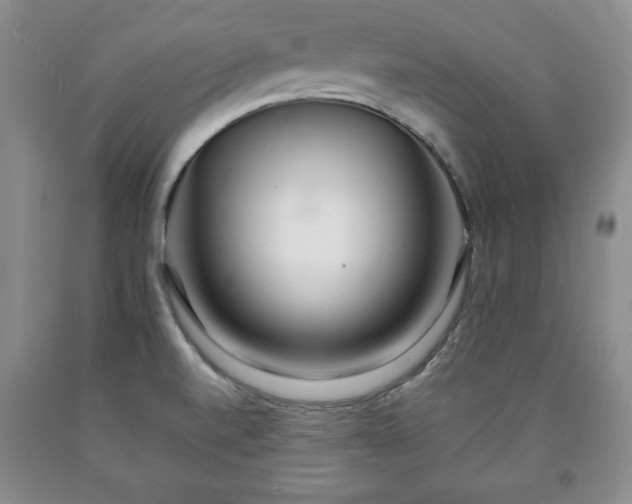 X0000090601520200707241031