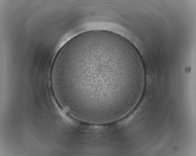 X0000090601521200707241031
