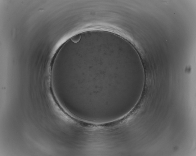 X0000090601522200707241031