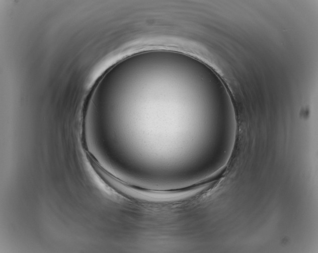 X0000090601523200707241031