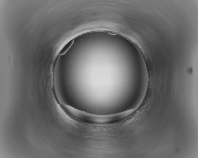 X0000090601524200707241031