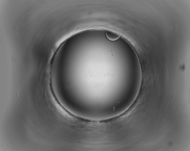 X0000090601526200707241031