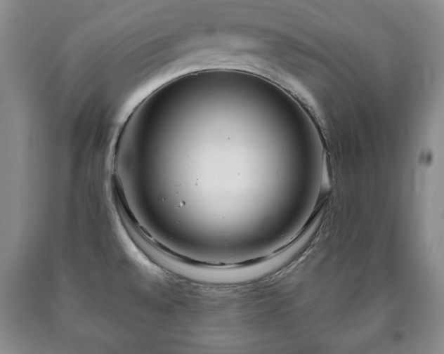 X0000090601528200707241031