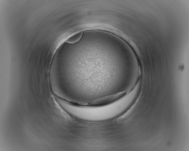 X0000090601529200707241031