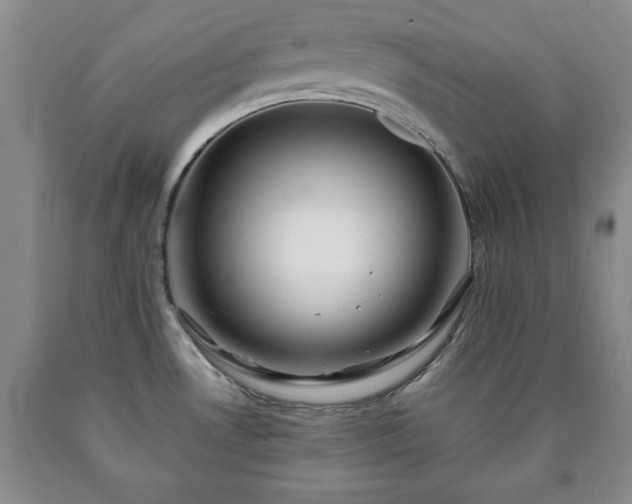 X0000090601530200707241031