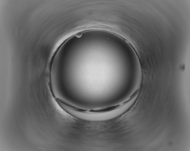 X0000090601531200707241031